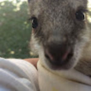 Meet your Posher, Emily